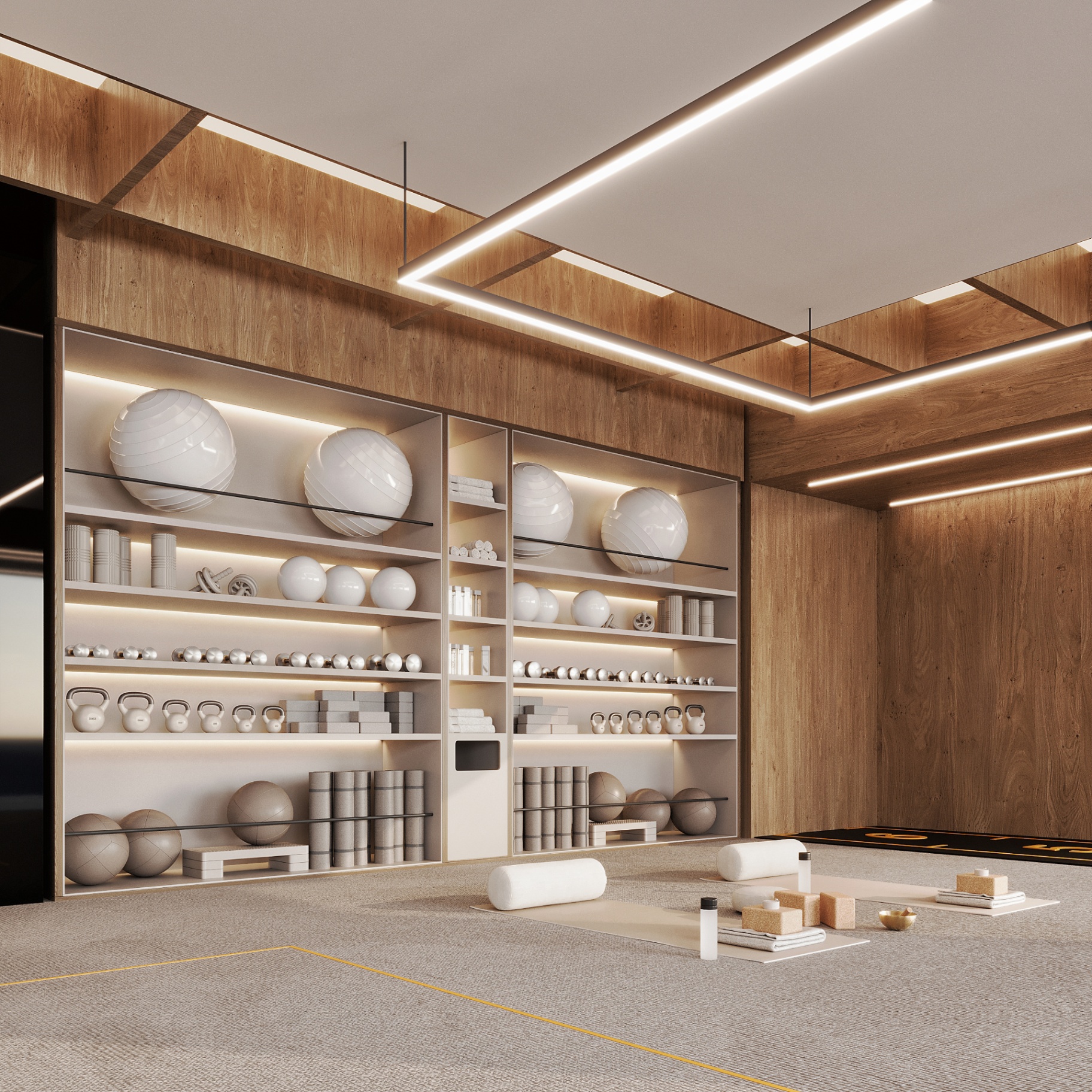 BVLGARI HOUSE GYM 2