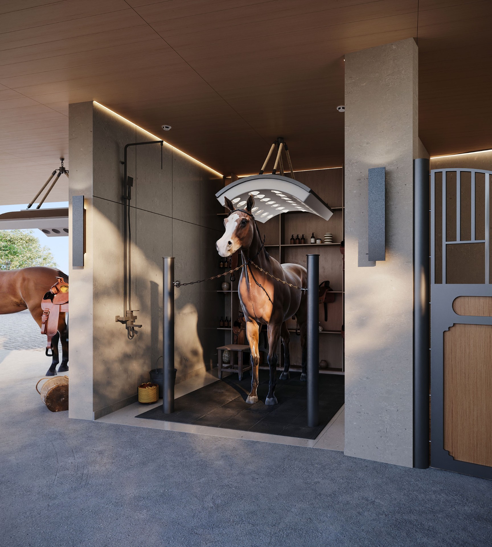 HORSE STABLE WASH BAY 1